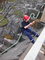 bild (36)